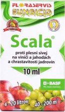25fb3d5d12525c76bf4f19f2ecc176f5--mm1600x1600