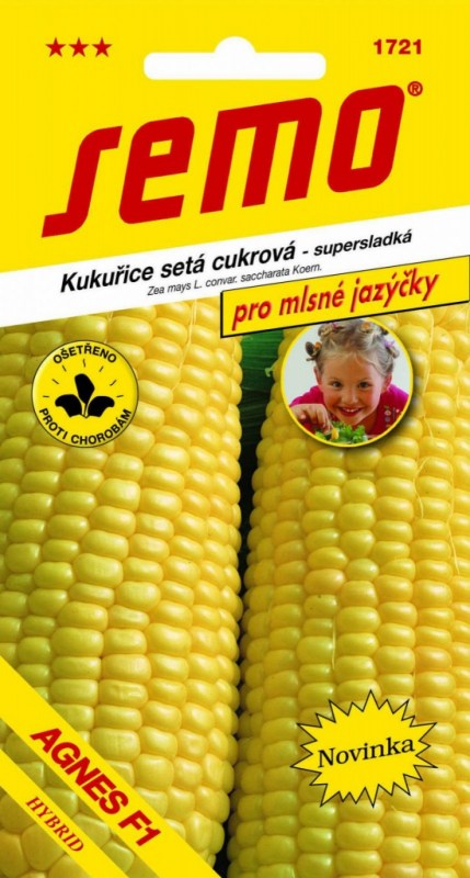 c05cd821fe614e9140b54fd41b243eb0--mm1600x1600