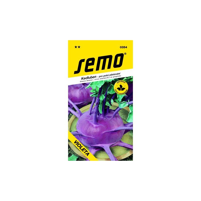 semo-kalerab-neskory-modry-violeta-0354-08g